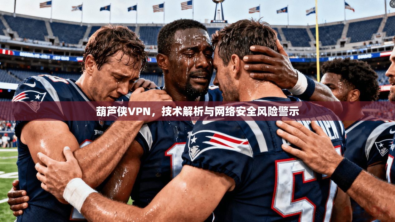 葫芦侠VPN,技术解析与网络安全风险警示 葫芦侠VPN,技术解析与网络安全风险警示
