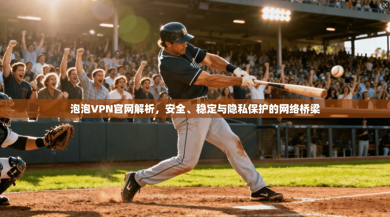 泡泡VPN官网解析，安全、稳定与隐私保护的网络桥梁