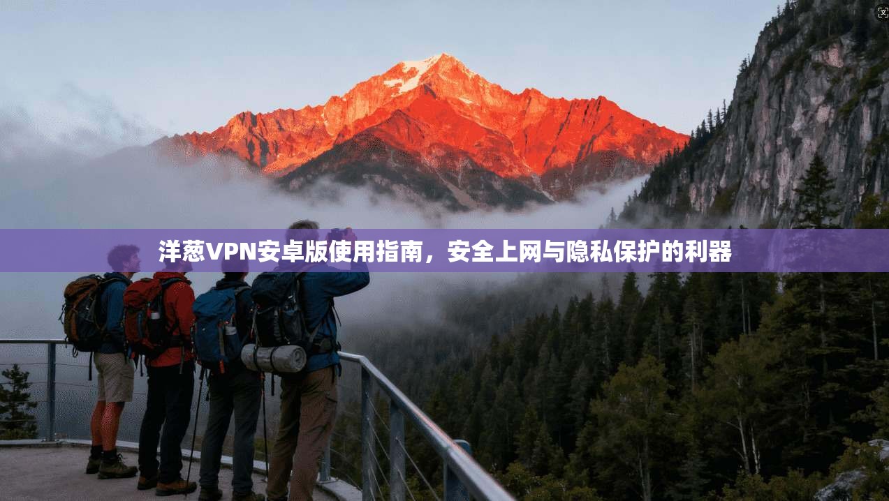 洋葱VPN安卓版使用指南，安全上网与隐私保护的利器