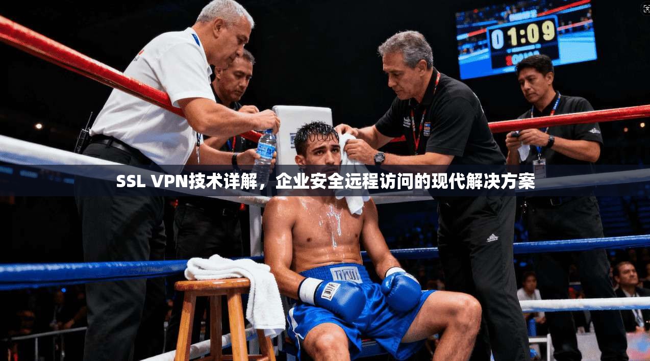 SSL VPN技术详解，企业安全远程访问的现代解决方案