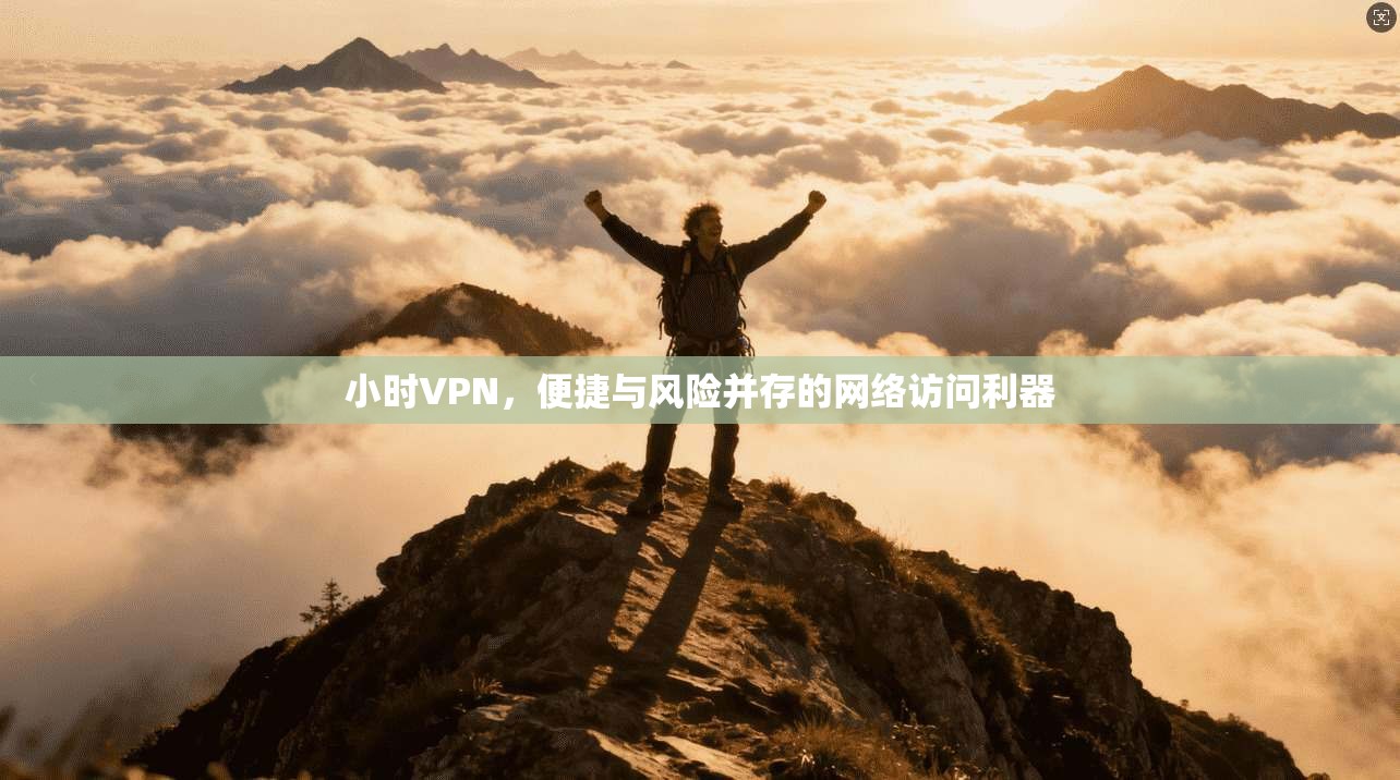小时VPN，便捷与风险并存的网络访问利器