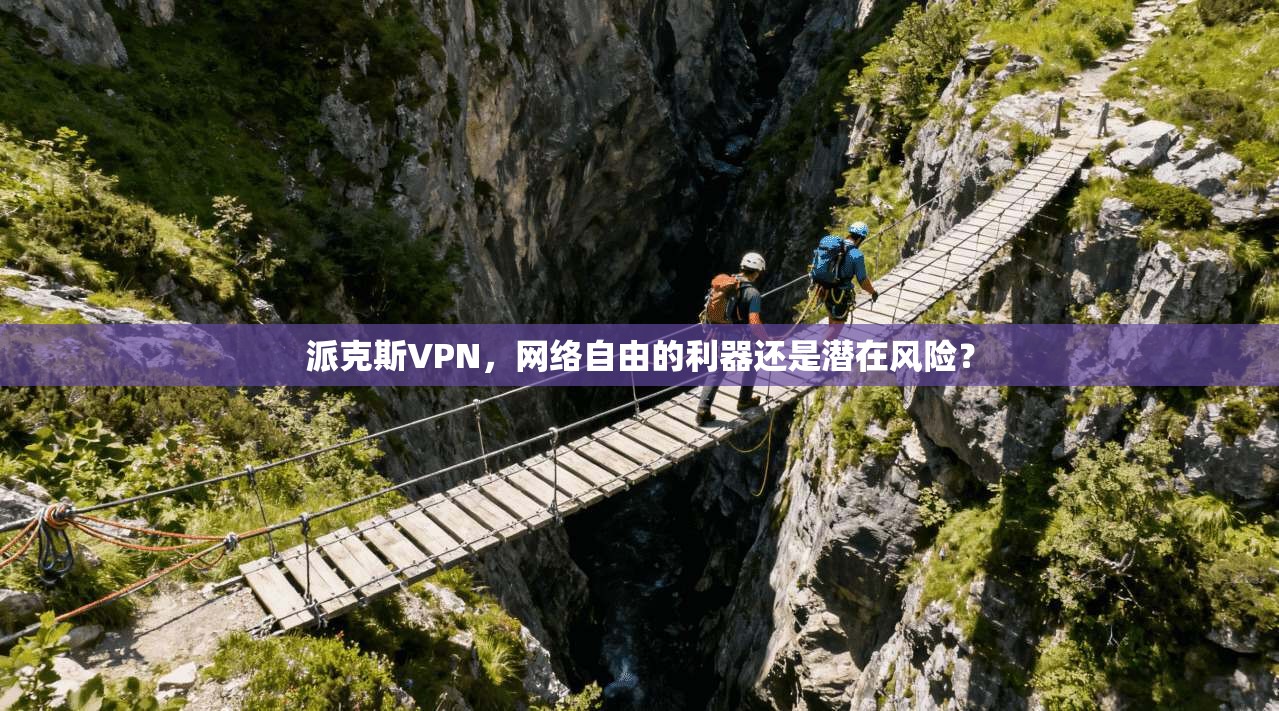 派克斯VPN，网络自由的利器还是潜在风险？