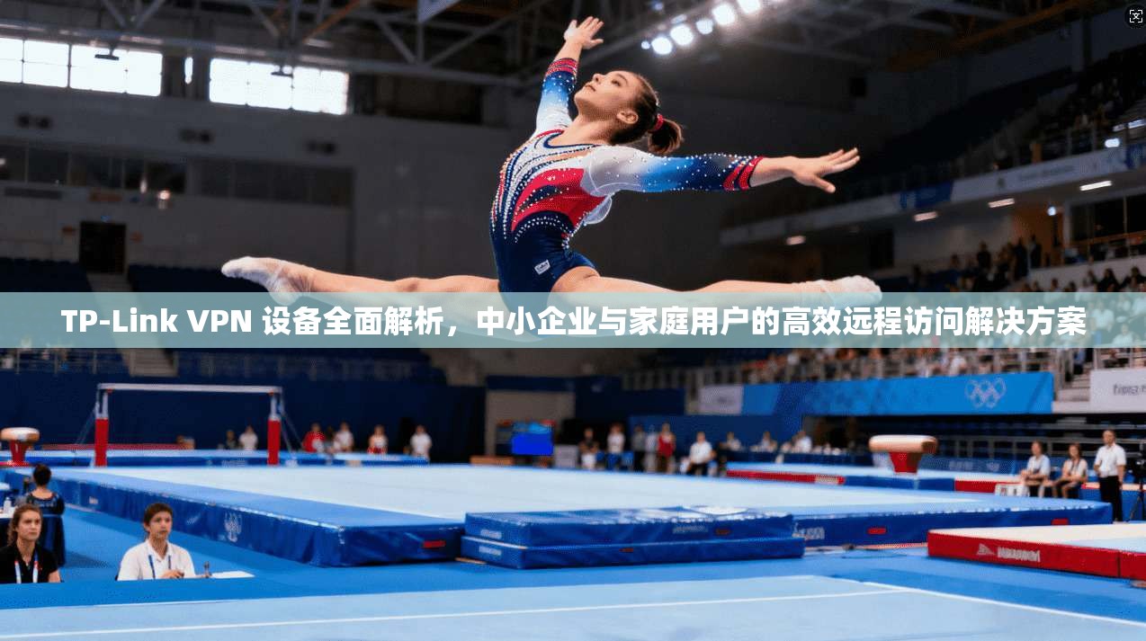 TP-Link VPN 设备全面解析，中小企业与家庭用户的高效远程访问解决方案