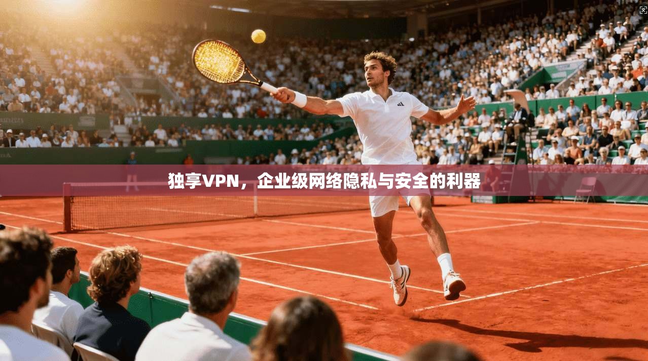 独享VPN，企业级网络隐私与安全的利器