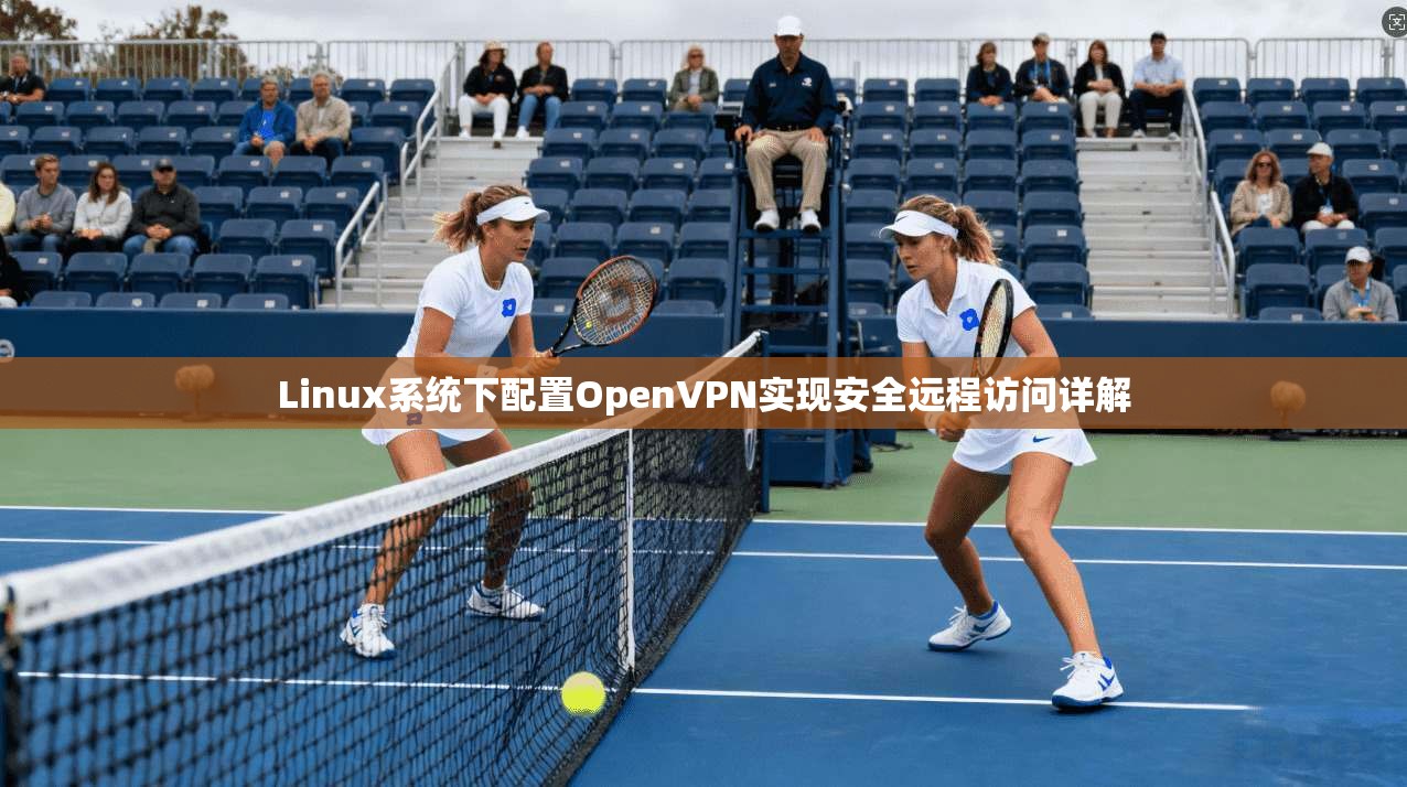 Linux系统下配置OpenVPN实现安全远程访问详解