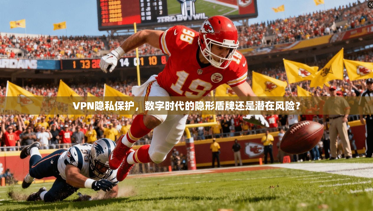 VPN隐私保护，数字时代的隐形盾牌还是潜在风险？
