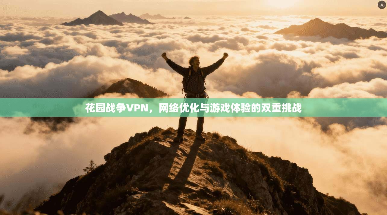 花园战争VPN，网络优化与游戏体验的双重挑战