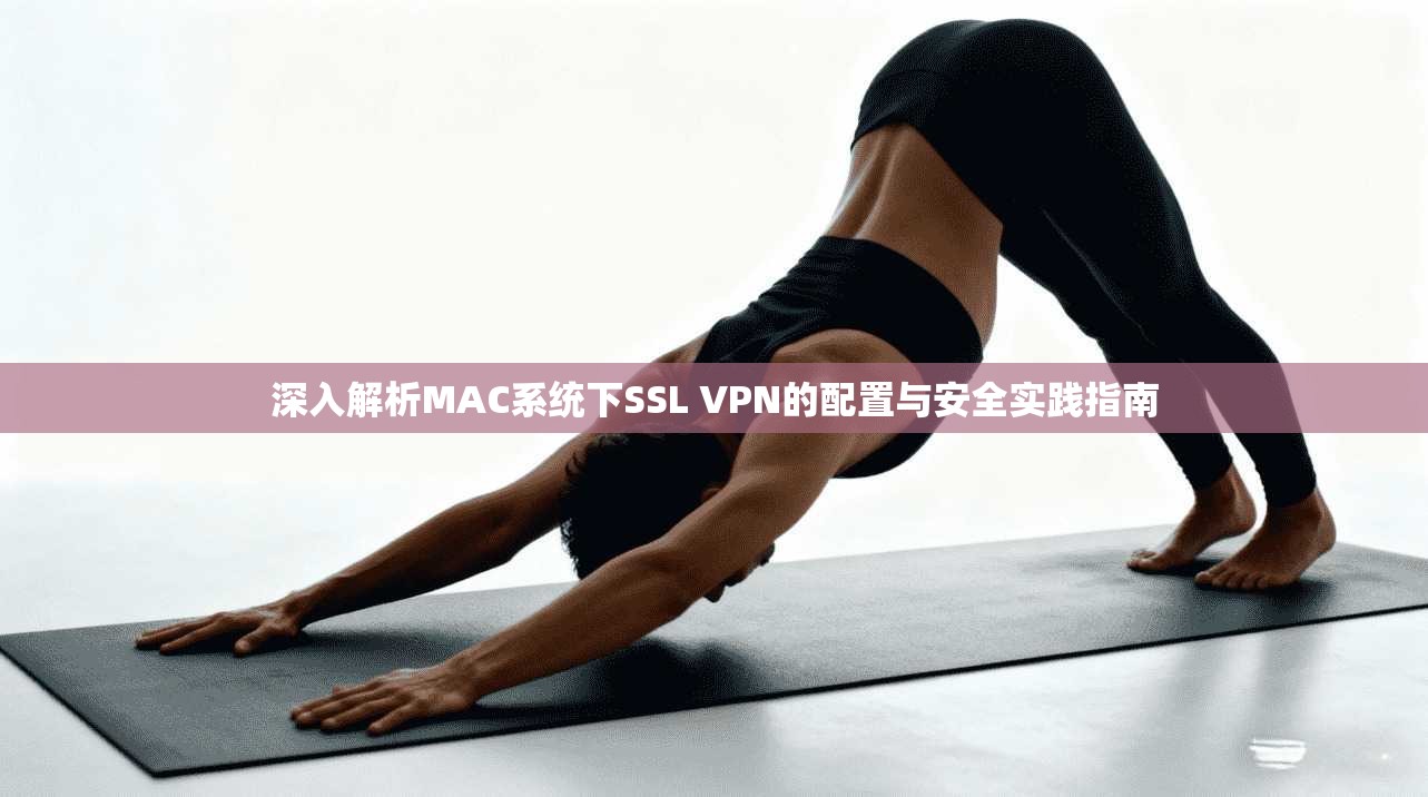 深入解析MAC系统下SSL VPN的配置与安全实践指南