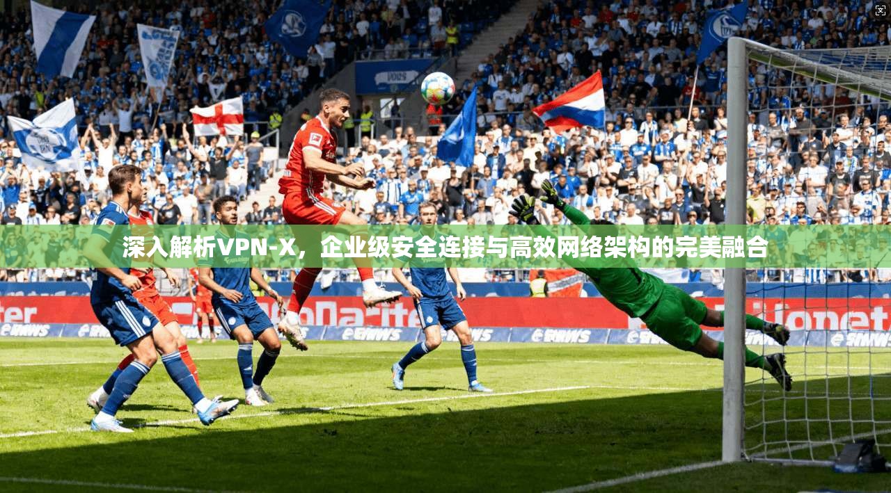 深入解析VPN-X，企业级安全连接与高效网络架构的完美融合