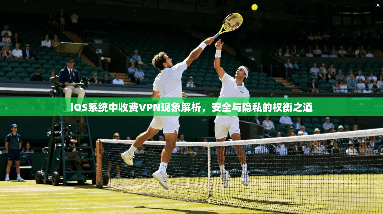 iOS系统中收费VPN现象解析，安全与隐私的权衡之道