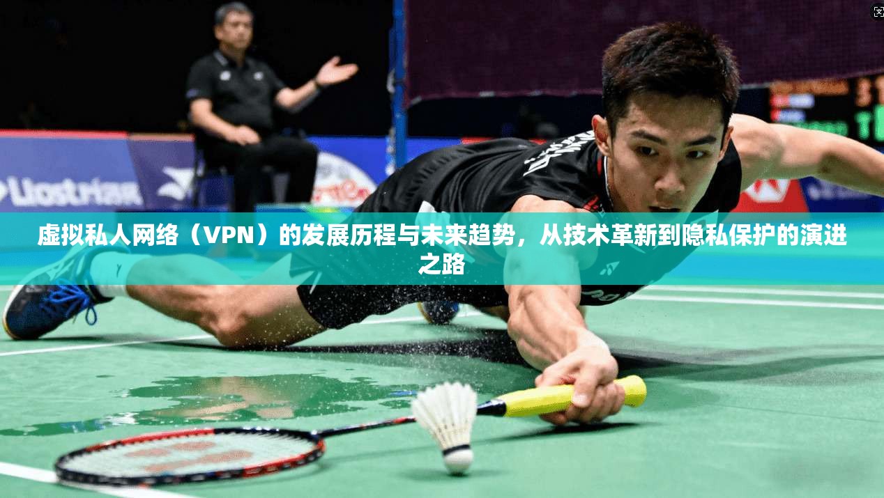虚拟私人网络（VPN）的发展历程与未来趋势，从技术革新到隐私保护的演进之路
