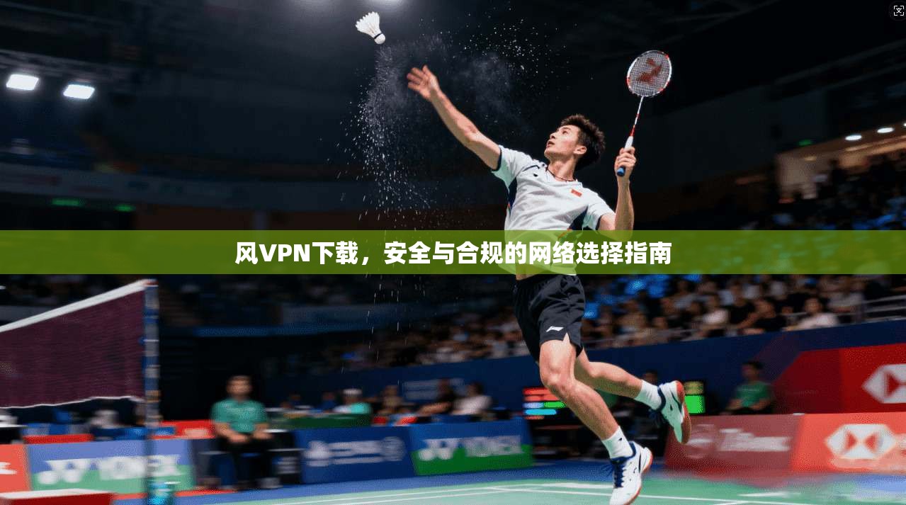 风VPN下载，安全与合规的网络选择指南