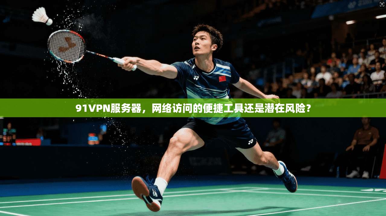 91VPN服务器，网络访问的便捷工具还是潜在风险？