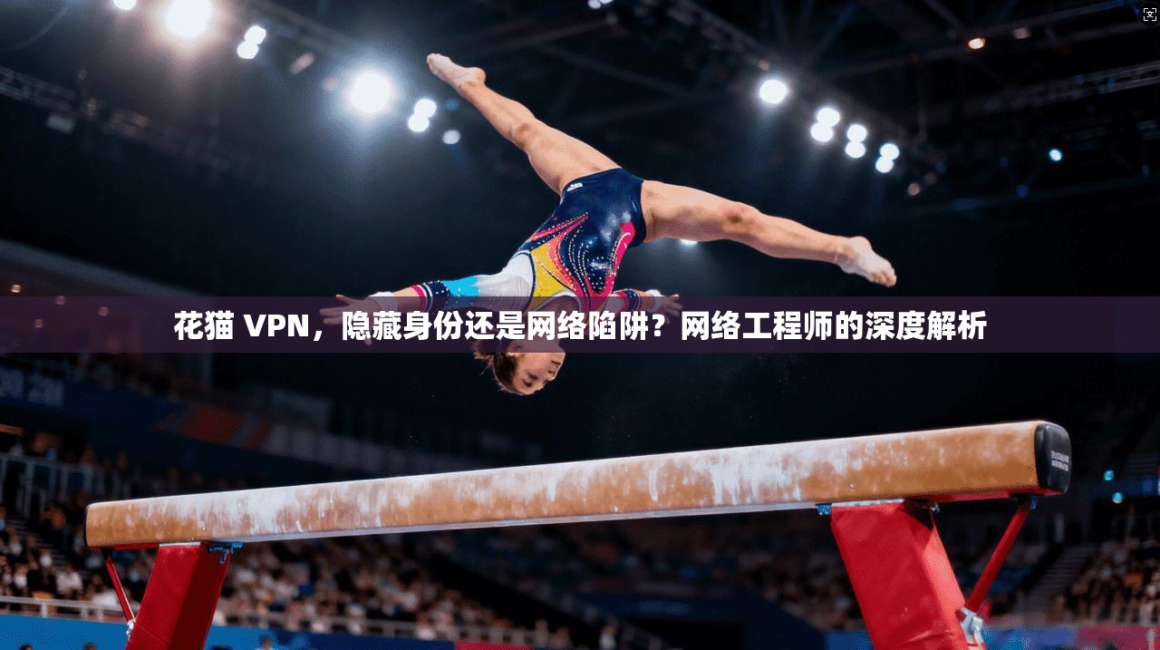 花猫 VPN，隐藏身份还是网络陷阱？网络工程师的深度解析