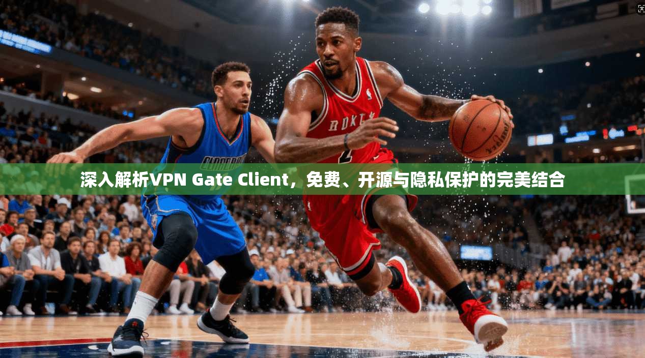 深入解析VPN Gate Client，免费、开源与隐私保护的完美结合