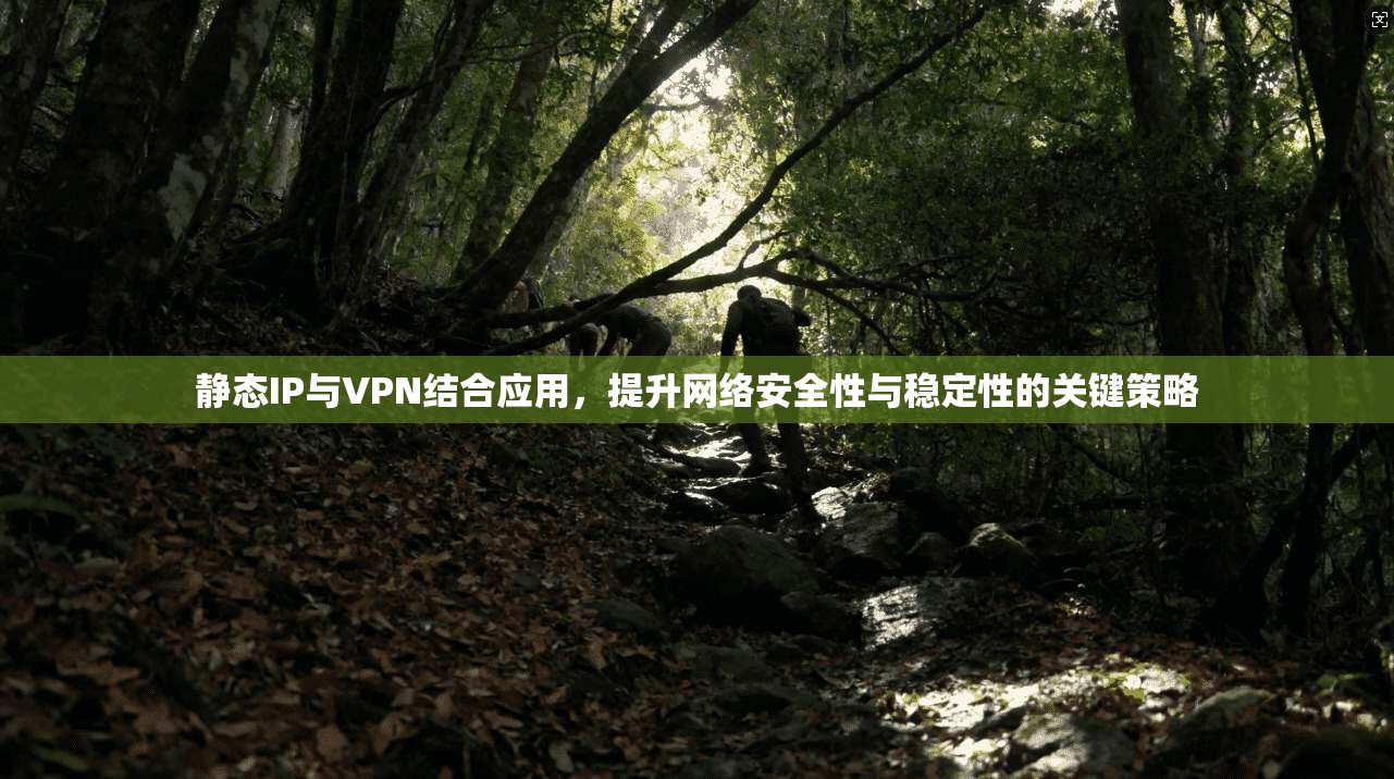 静态IP与VPN结合应用，提升网络安全性与稳定性的关键策略