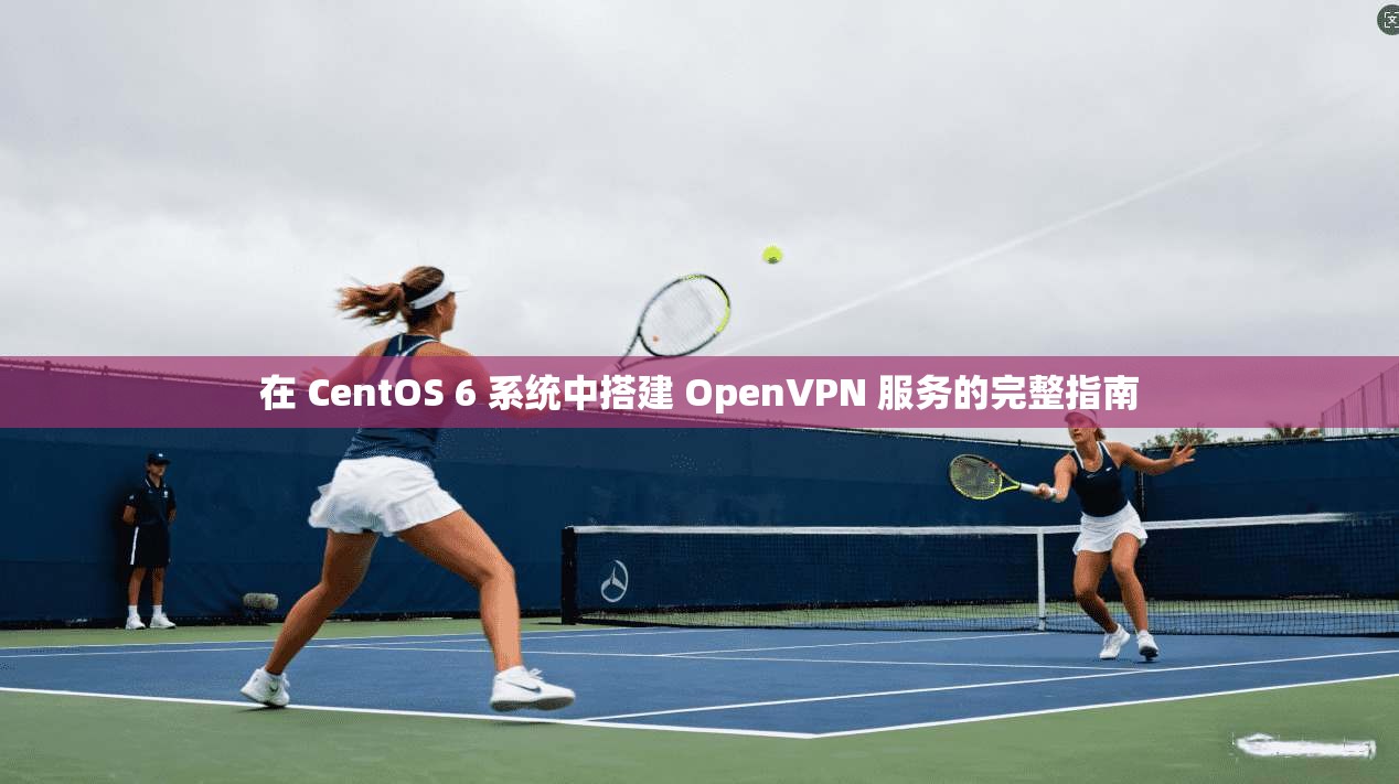 在 CentOS 6 系统中搭建 OpenVPN 服务的完整指南