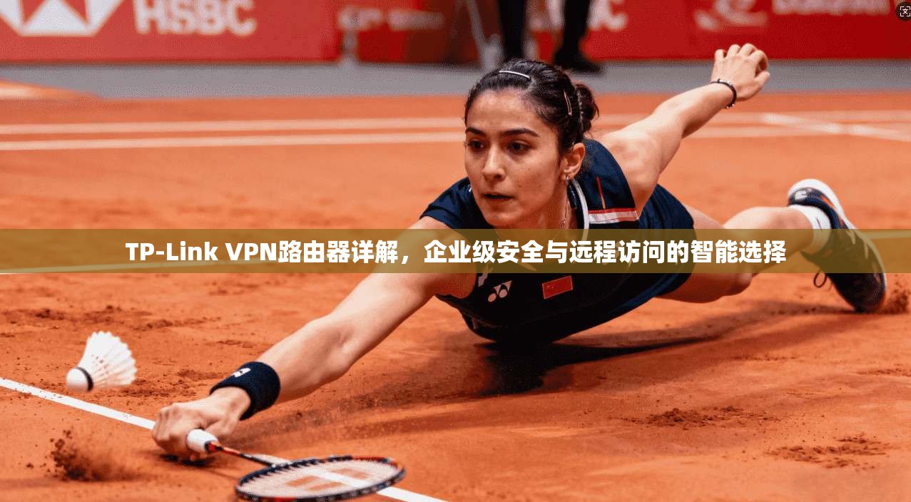 TP-Link VPN路由器详解，企业级安全与远程访问的智能选择