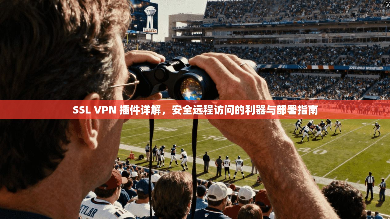 SSL VPN 插件详解，安全远程访问的利器与部署指南