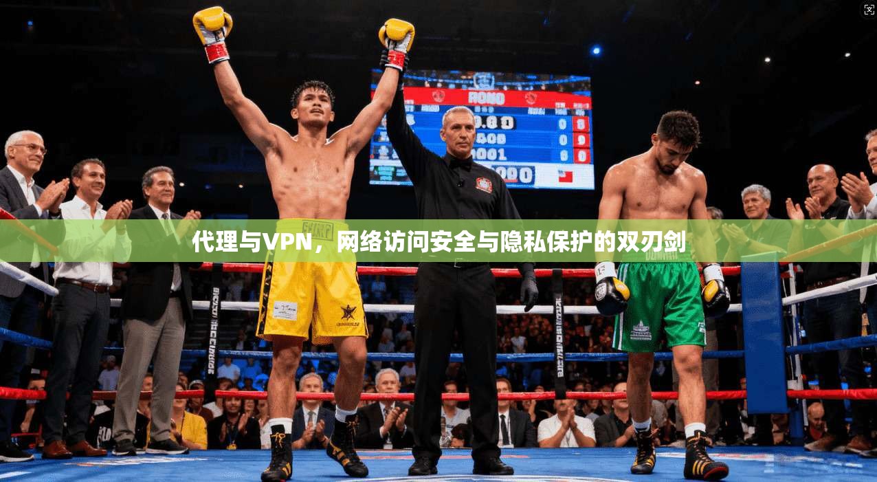 代理与VPN，网络访问安全与隐私保护的双刃剑