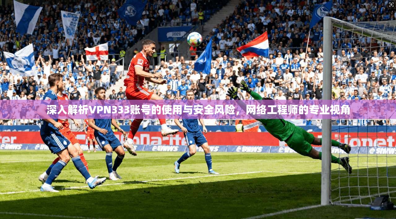 深入解析VPN333账号的使用与安全风险，网络工程师的专业视角