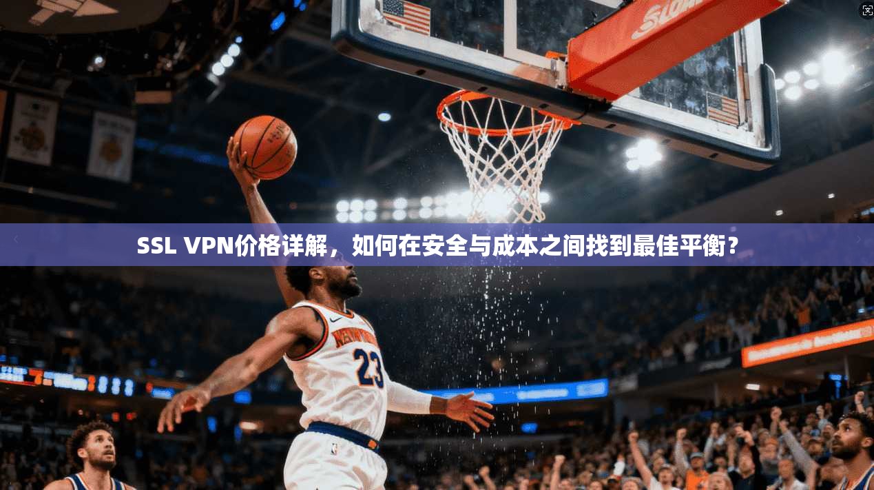 SSL VPN价格详解，如何在安全与成本之间找到最佳平衡？