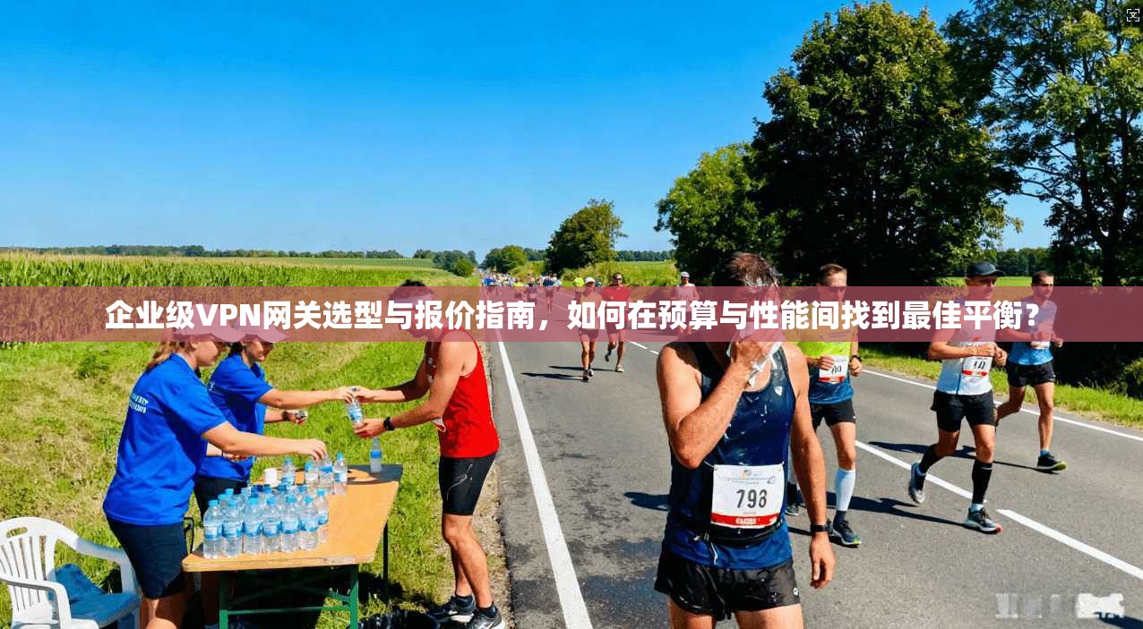企业级VPN网关选型与报价指南，如何在预算与性能间找到最佳平衡？