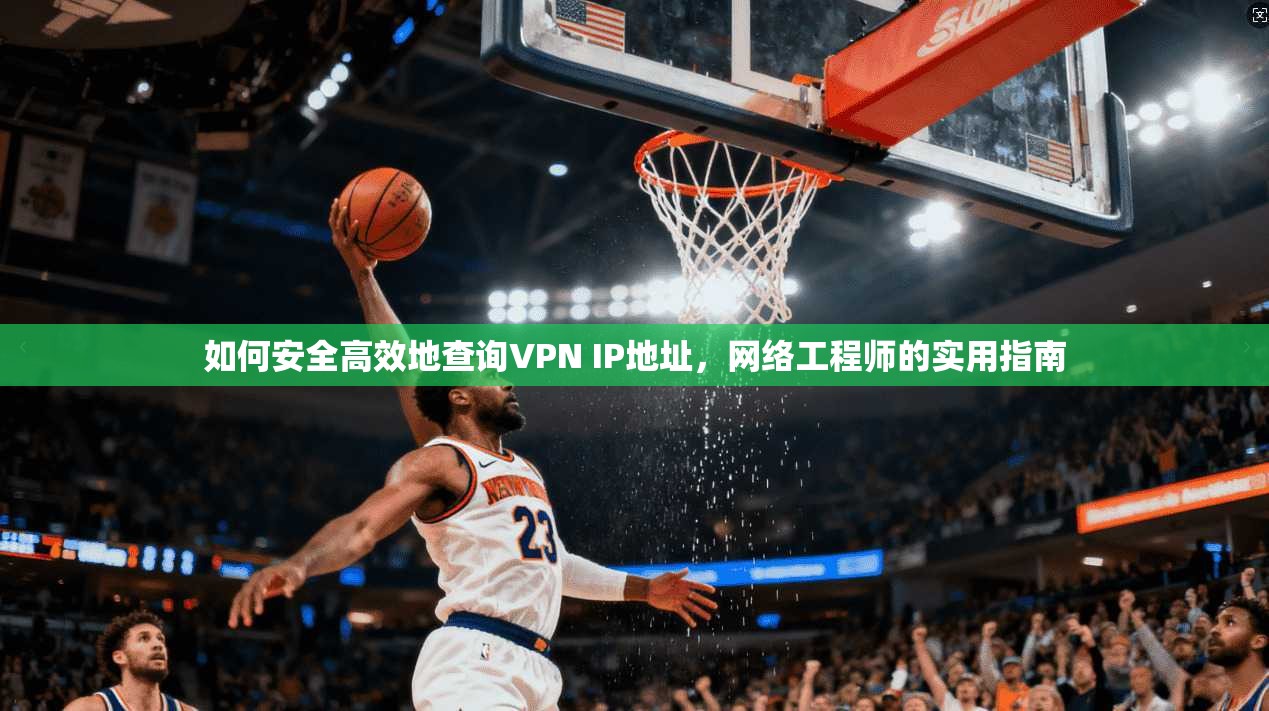 如何安全高效地查询VPN IP地址，网络工程师的实用指南