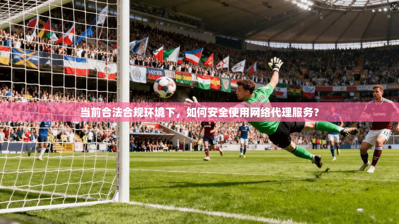 当前合法合规环境下，如何安全使用网络代理服务？