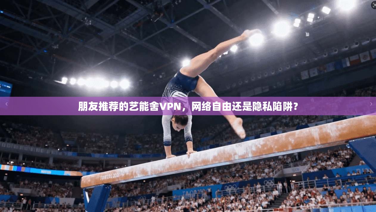朋友推荐的艺能舍VPN，网络自由还是隐私陷阱？