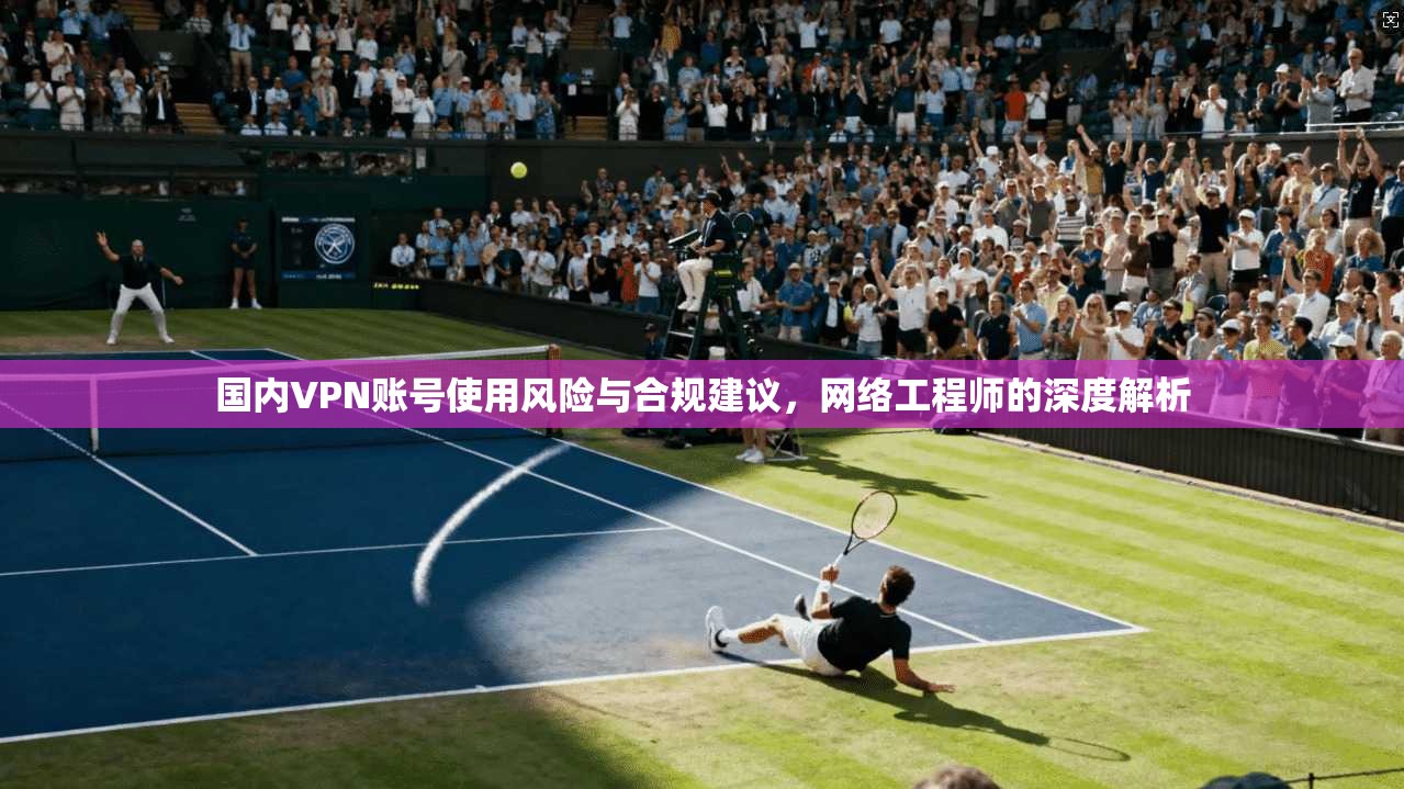 国内VPN账号使用风险与合规建议，网络工程师的深度解析