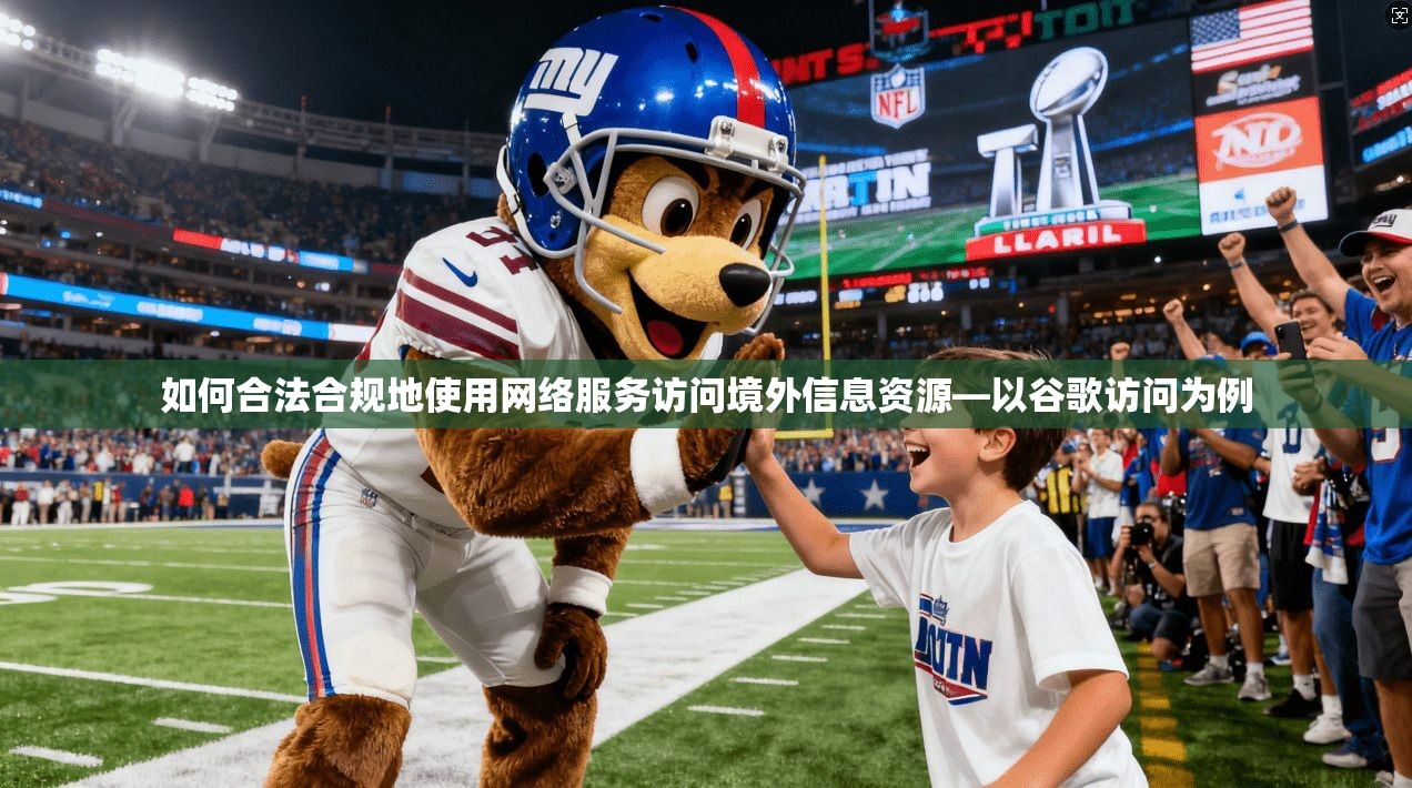 如何合法合规地使用网络服务访问境外信息资源—以谷歌访问为例 如何合法合规地使用网络服务访问境外信息资源—以谷歌访问为例