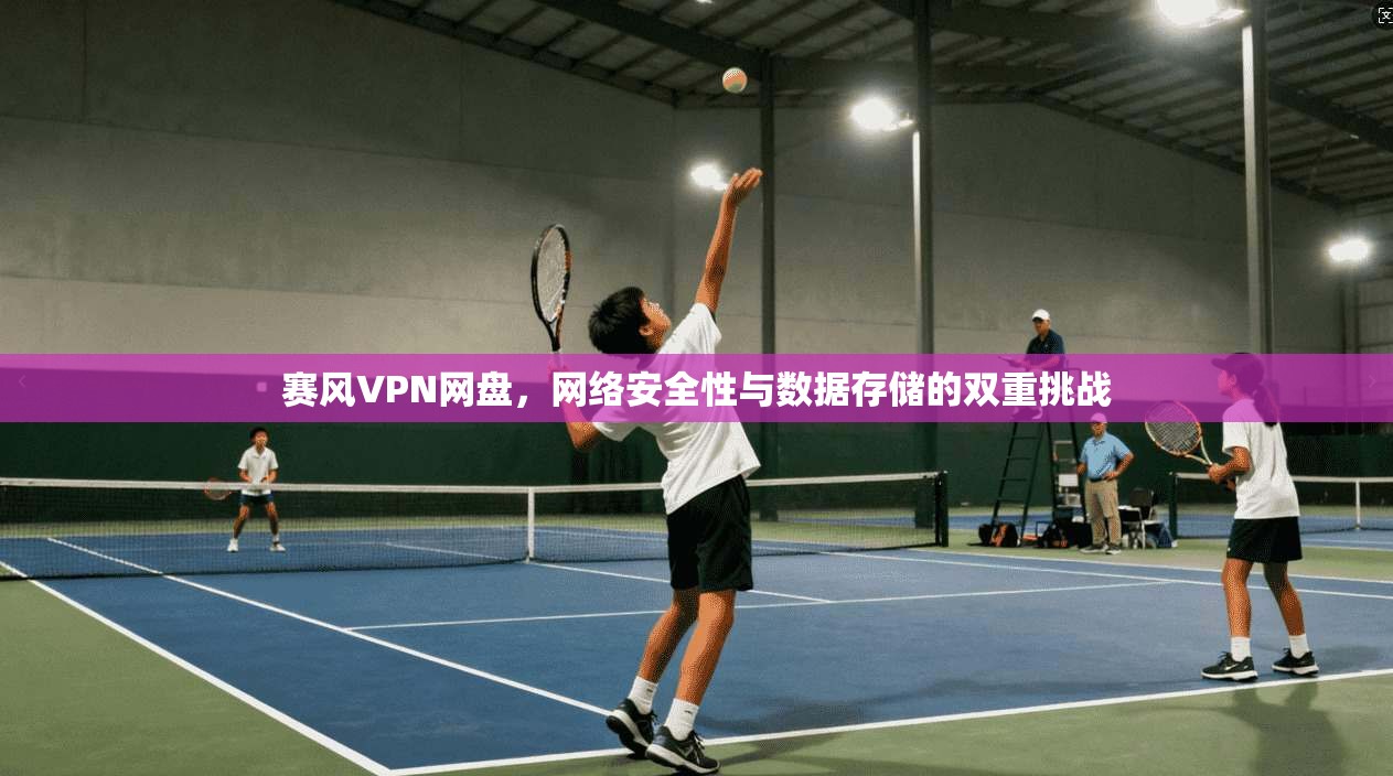 赛风VPN网盘，网络安全性与数据存储的双重挑战