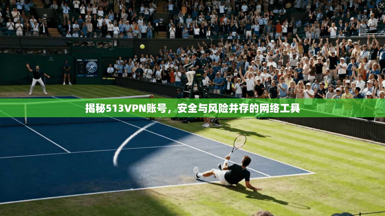 揭秘513VPN账号，安全与风险并存的网络工具