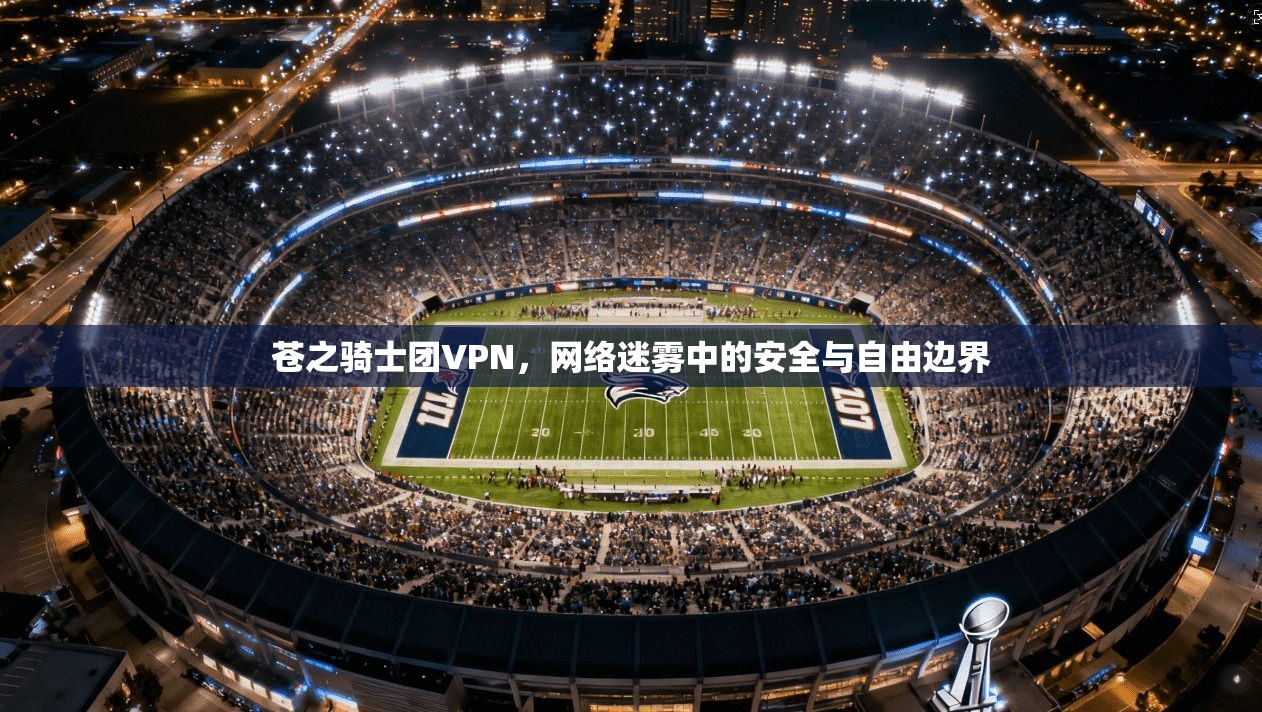 苍之骑士团VPN，网络迷雾中的安全与自由边界
