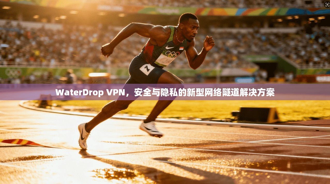 WaterDrop VPN,安全与隐私的新型网络隧道解决方案 WaterDrop VPN,安全与隐私的新型网络隧道解决方案