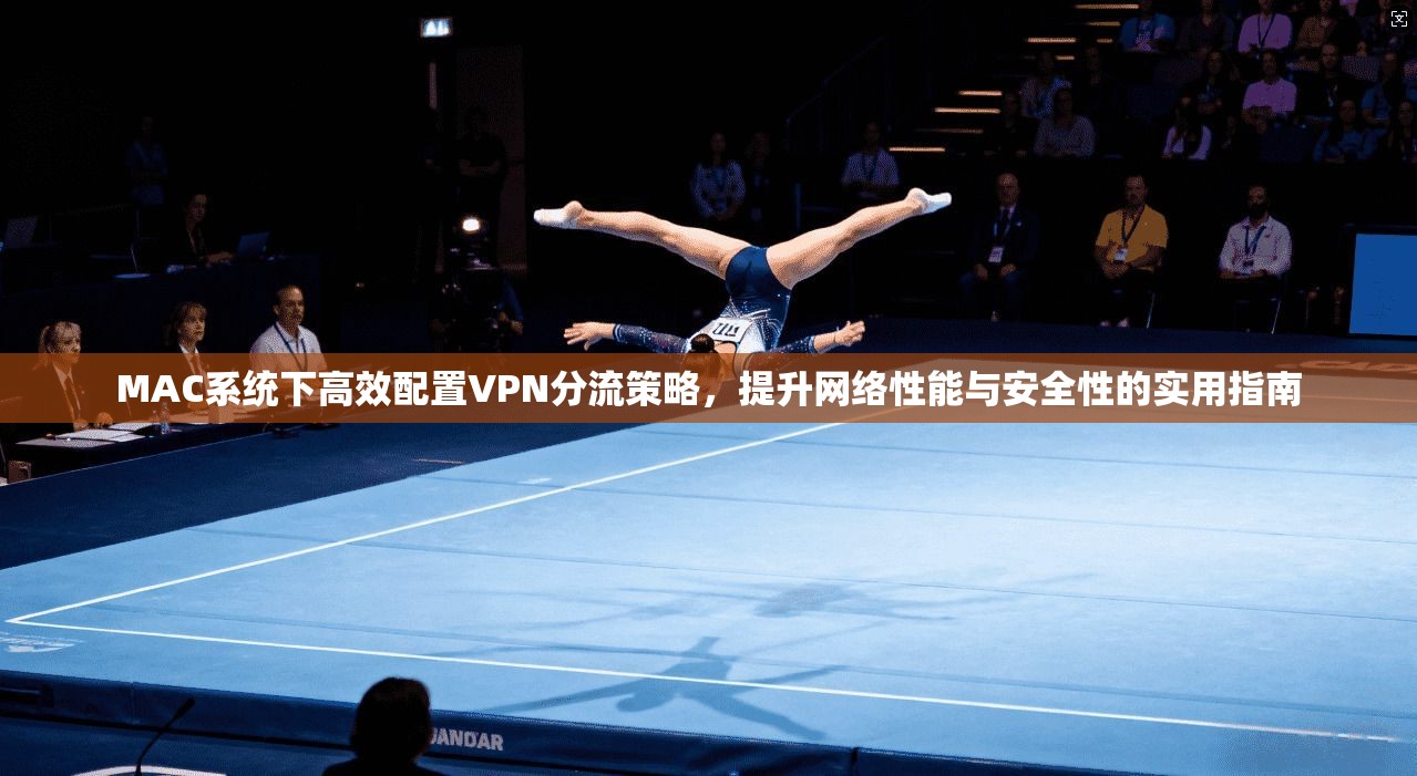 MAC系统下高效配置VPN分流策略，提升网络性能与安全性的实用指南