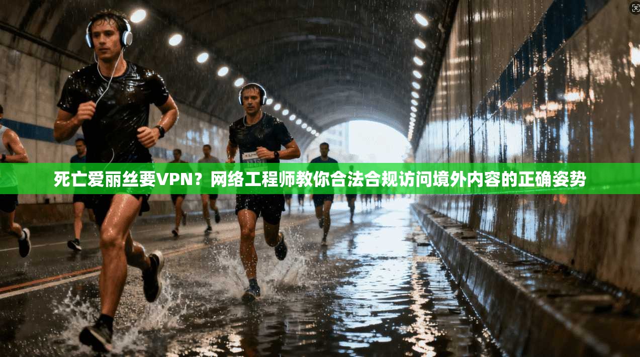 死亡爱丽丝要VPN？网络工程师教你合法合规访问境外内容的正确姿势