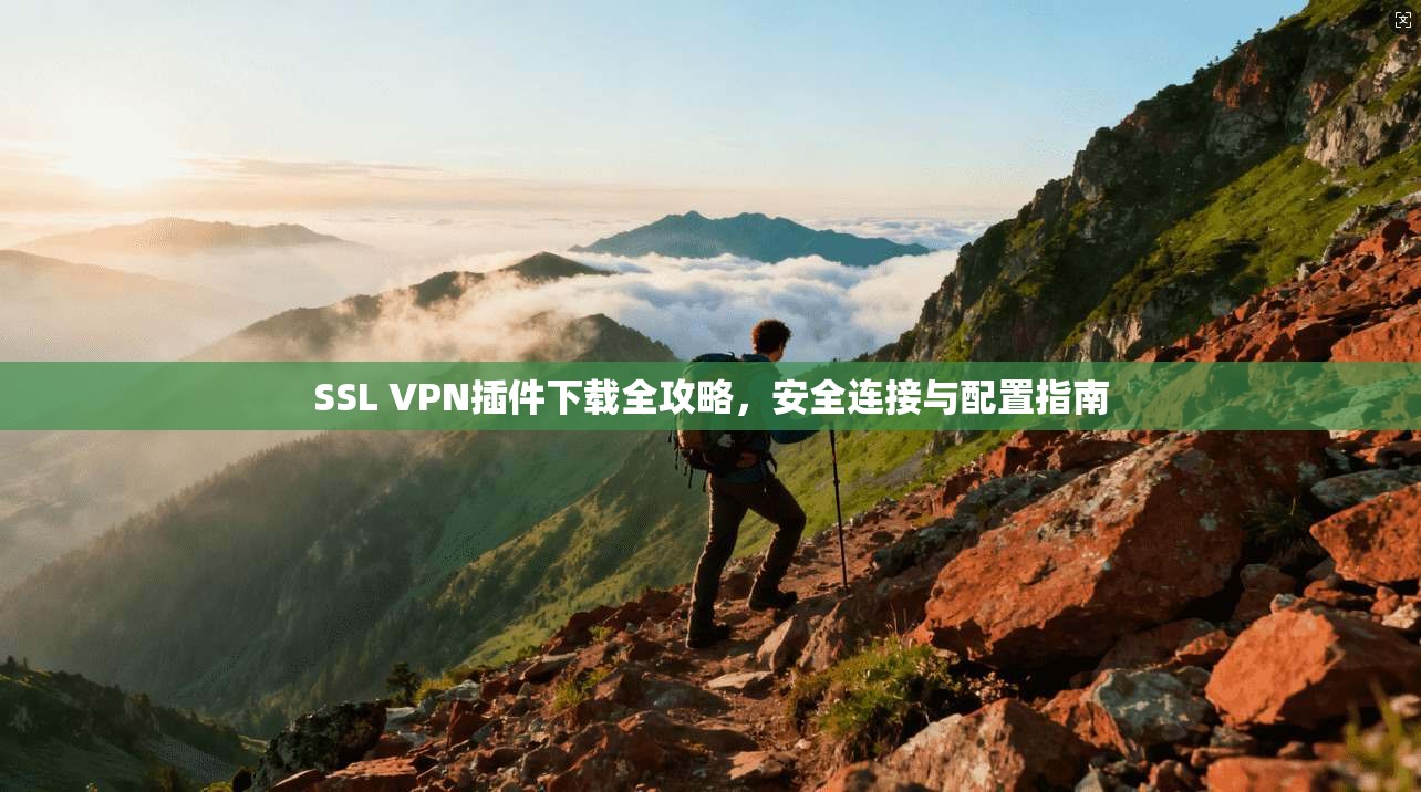 SSL VPN插件下载全攻略，安全连接与配置指南