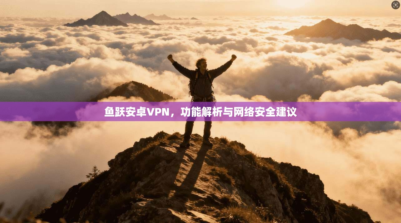 鱼跃安卓VPN，功能解析与网络安全建议