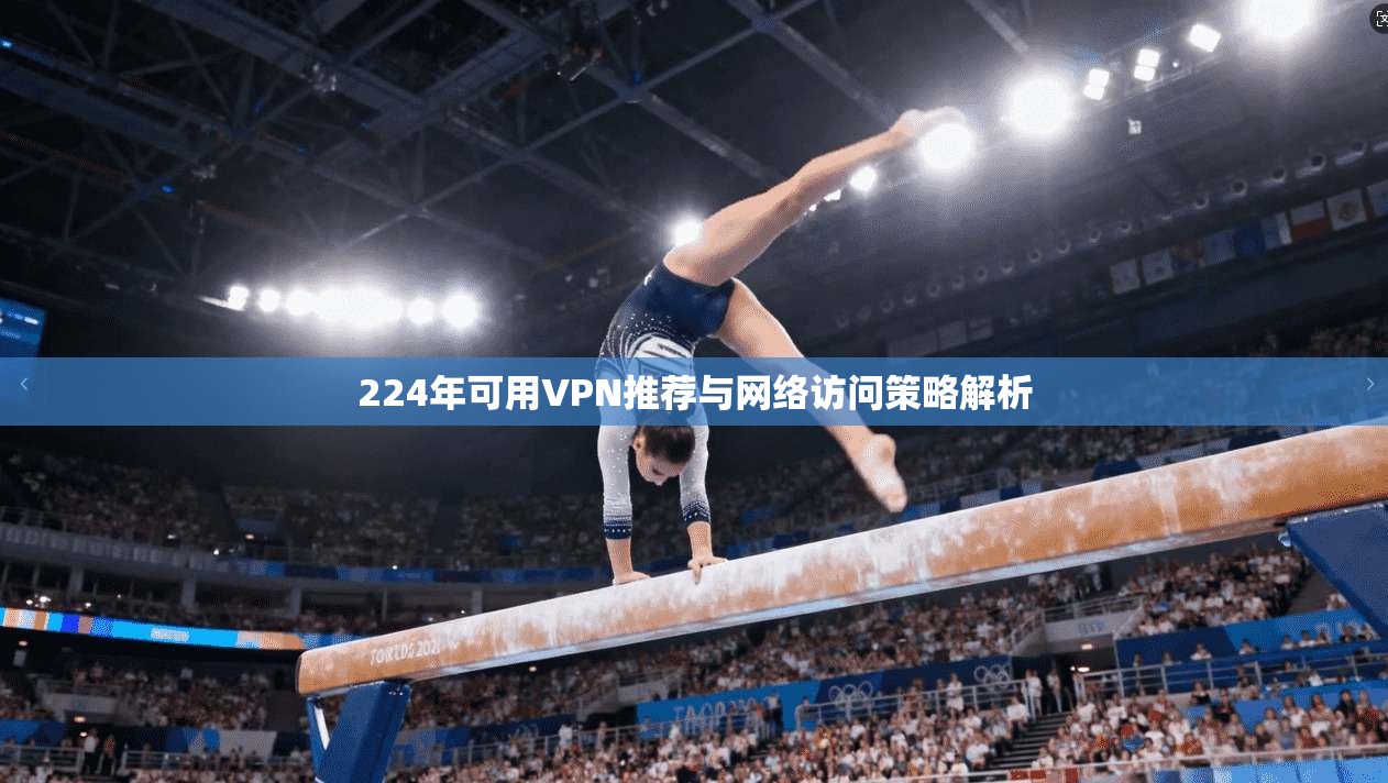 224年可用VPN推荐与网络访问策略解析