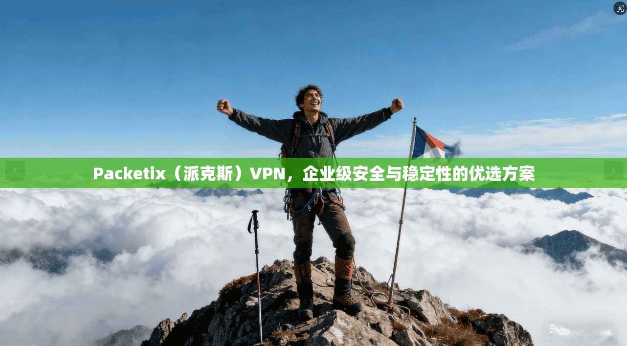 Packetix（派克斯）VPN，企业级安全与稳定性的优选方案