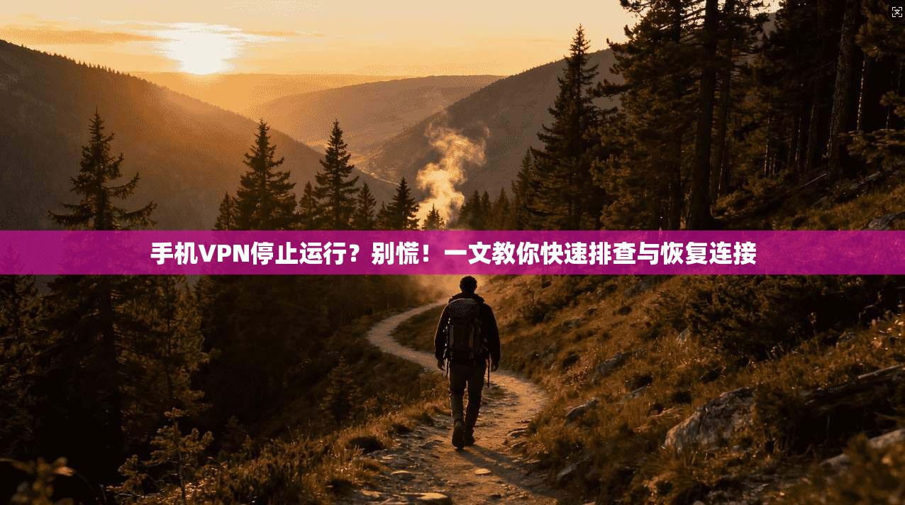 手机VPN停止运行？别慌！一文教你快速排查与恢复连接