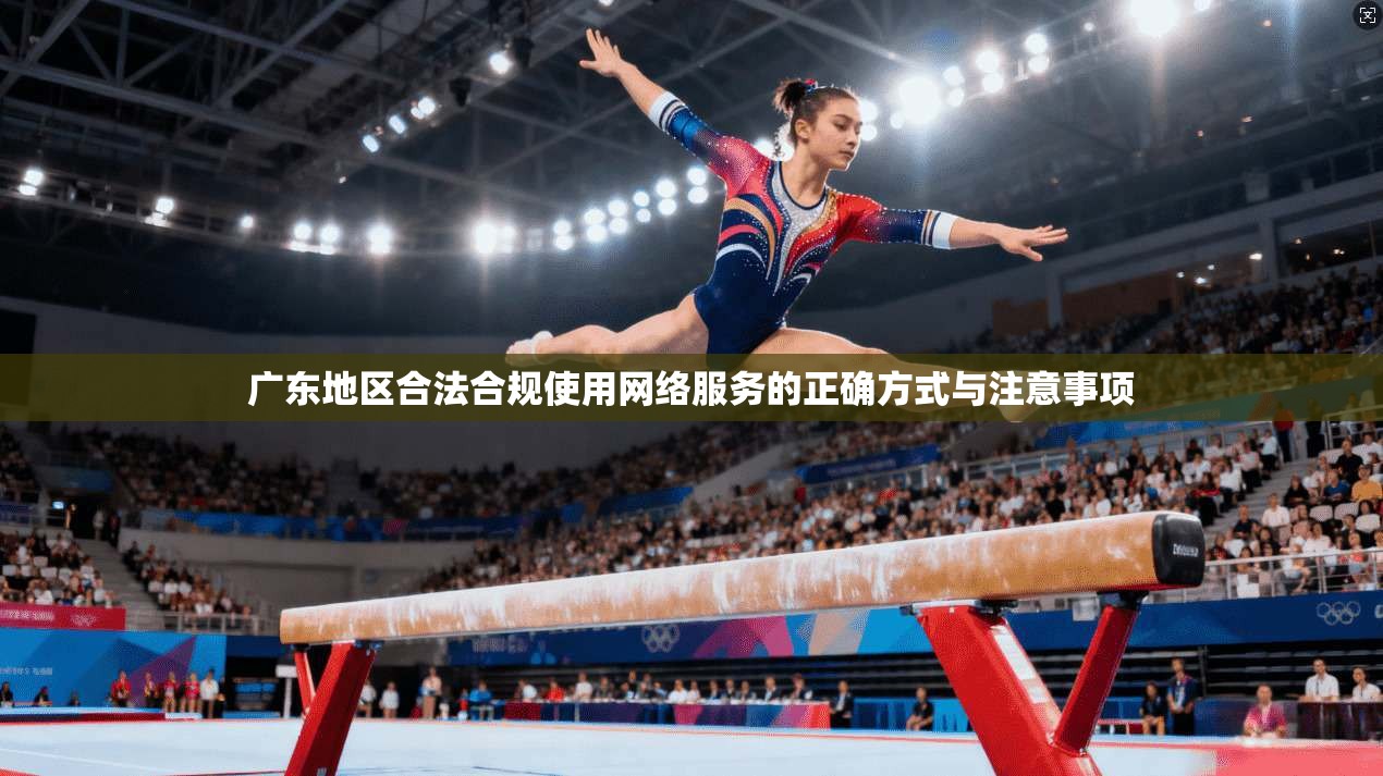 广东地区合法合规使用网络服务的正确方式与注意事项