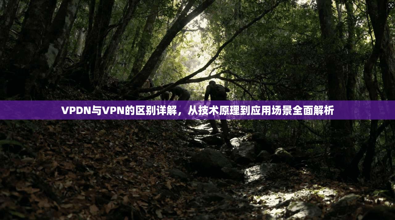VPDN与VPN的区别详解，从技术原理到应用场景全面解析