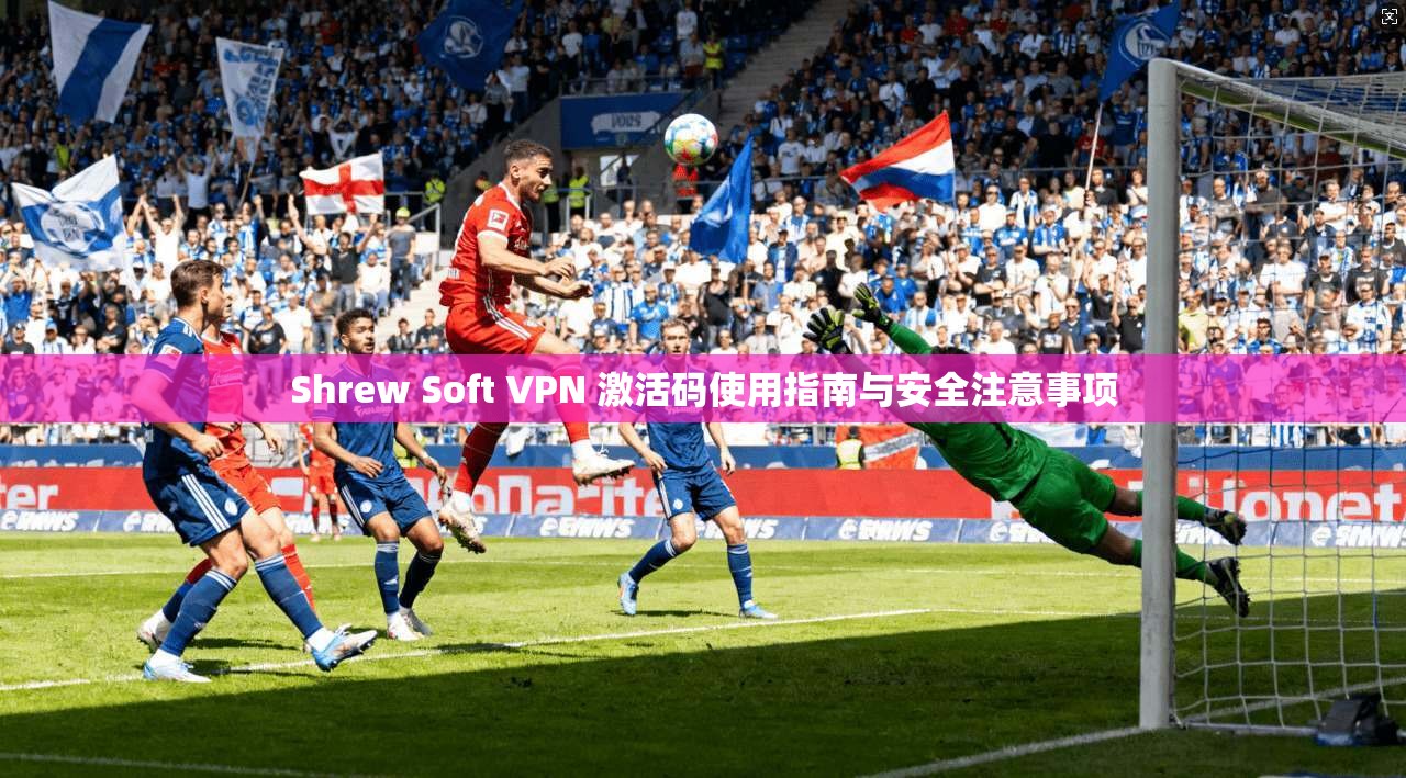 Shrew Soft VPN 激活码使用指南与安全注意事项