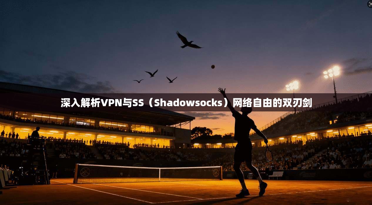 深入解析VPN与SS（Shadowsocks）网络自由的双刃剑