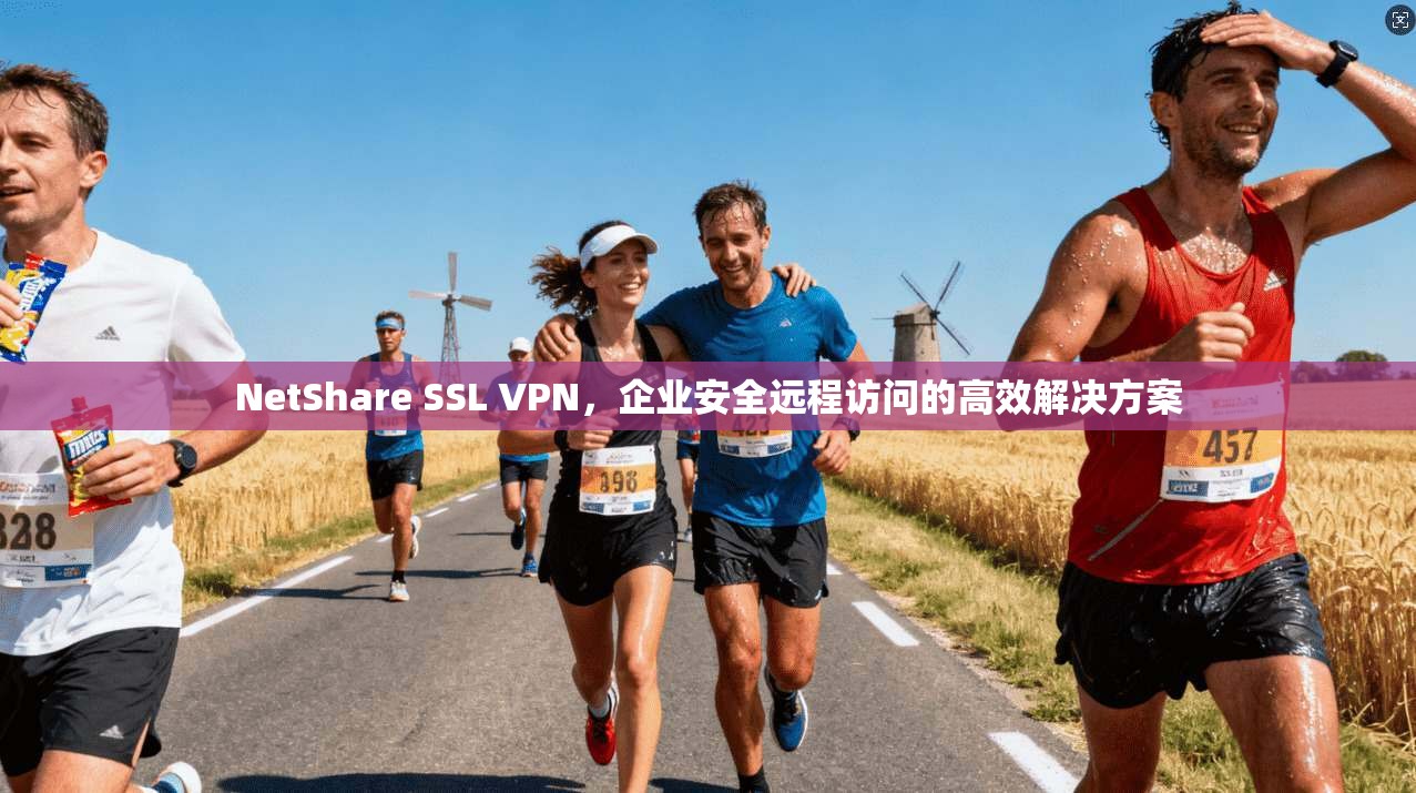 NetShare SSL VPN，企业安全远程访问的高效解决方案