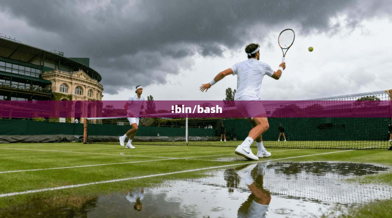 !bin/bash !bin/bash