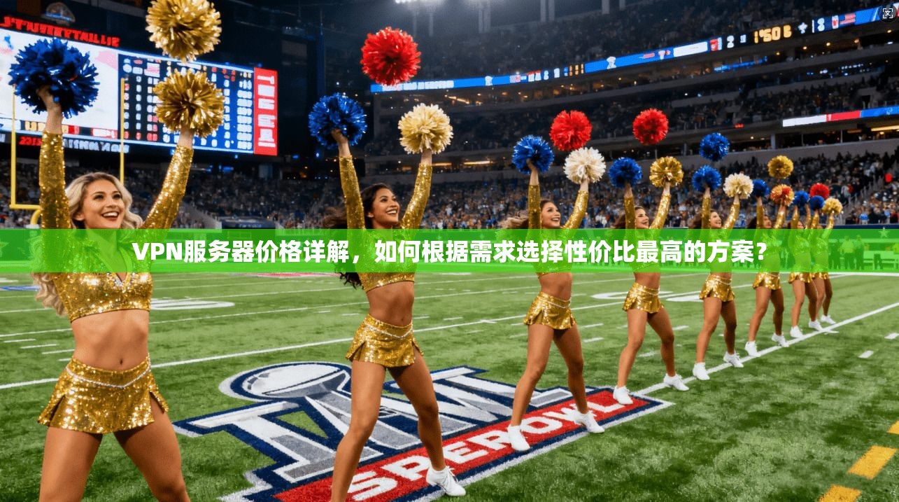 VPN服务器价格详解，如何根据需求选择性价比最高的方案？